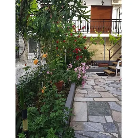 招待所 Nefeli House
