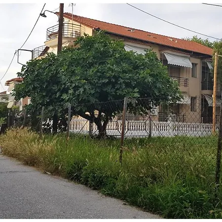 招待所 Nefeli House *